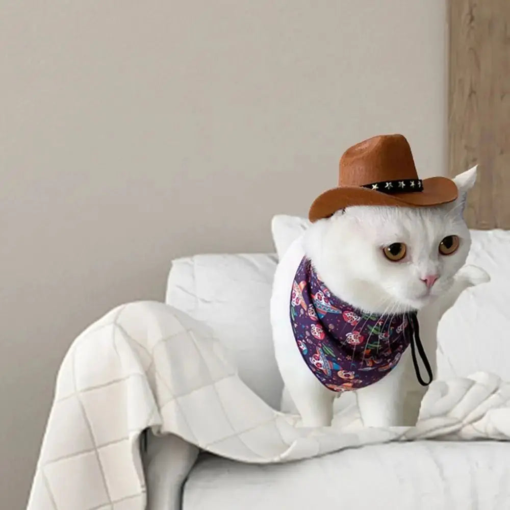 Turn Your Pet Into a Cowboy