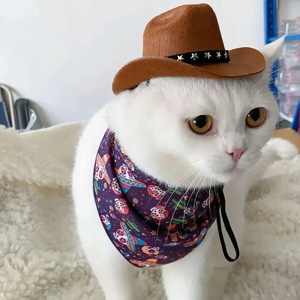 Turn Your Pet Into a Cowboy