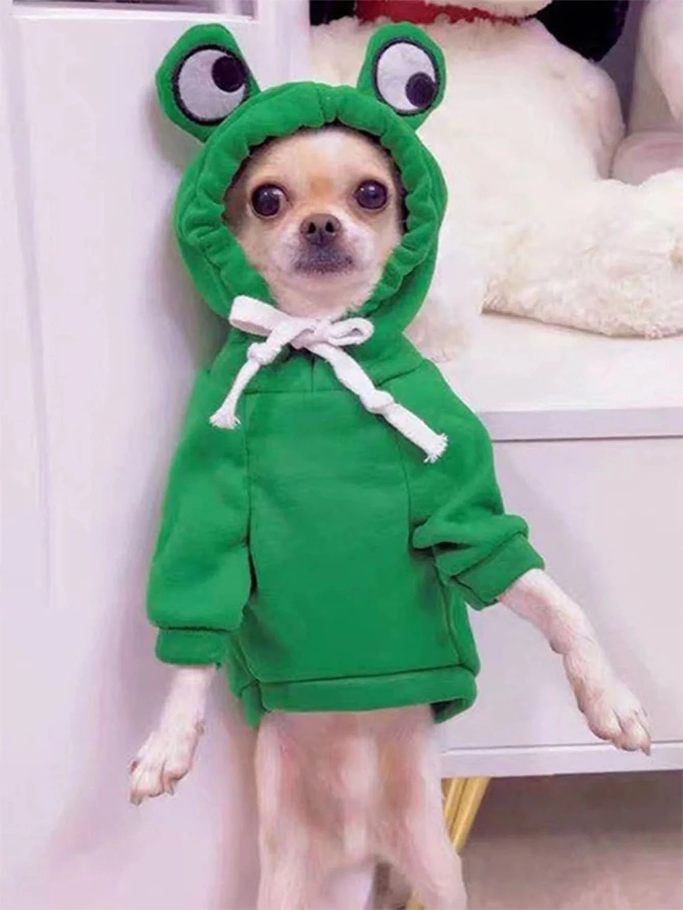Cute Frog Dog Hoodie 🐸🐶