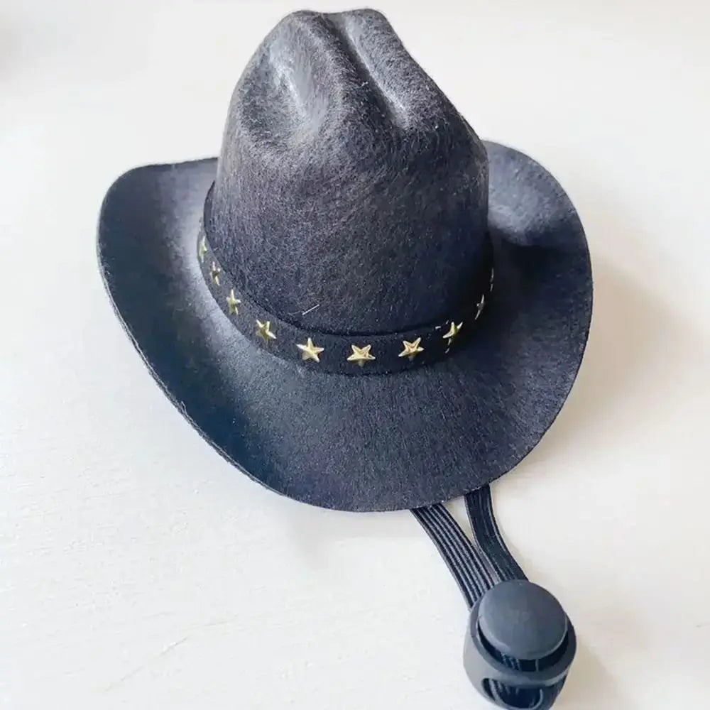 Turn Your Pet Into a Cowboy