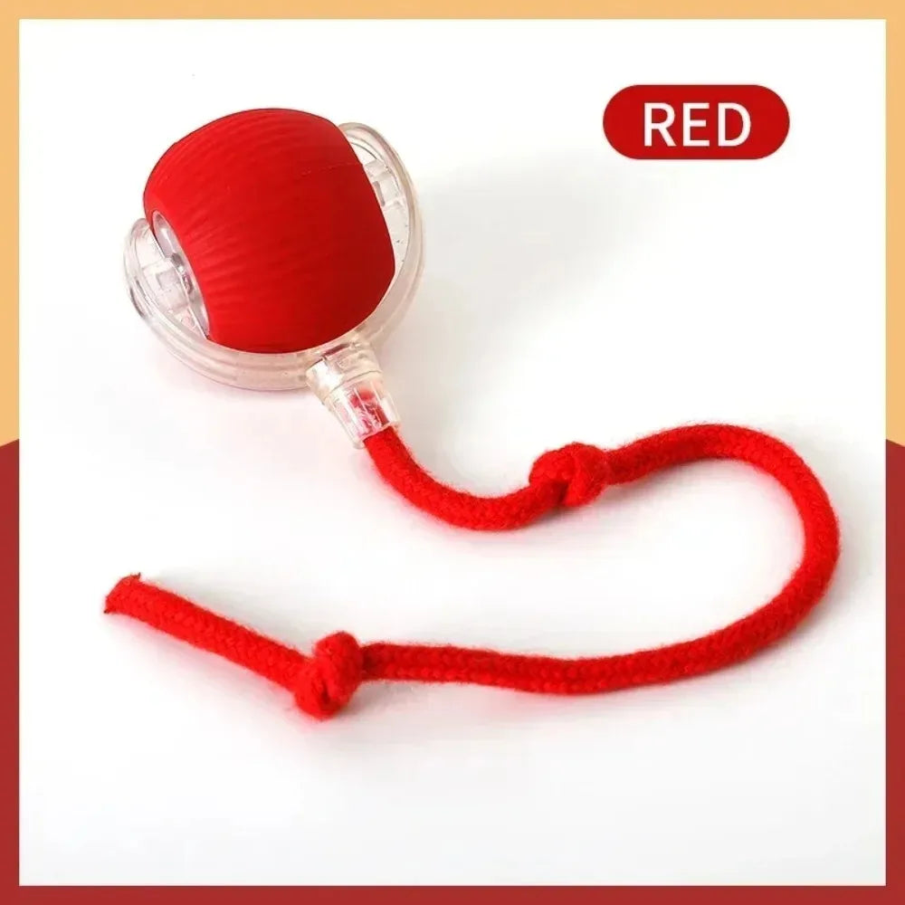 Automatic Interactive Cat Toy Ball