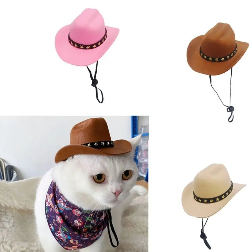 Turn Your Pet Into a Cowboy