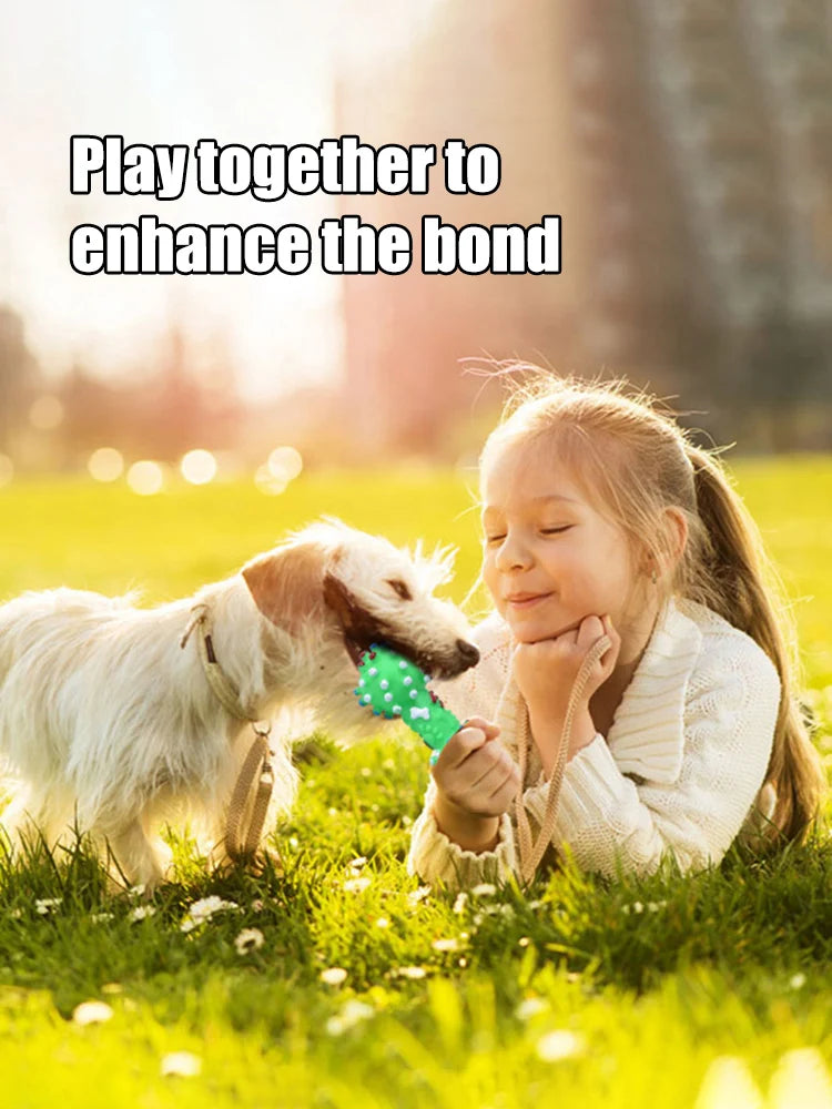 Natural Rubber Dog Chew Toy – Safe & Teeth Cleaning
