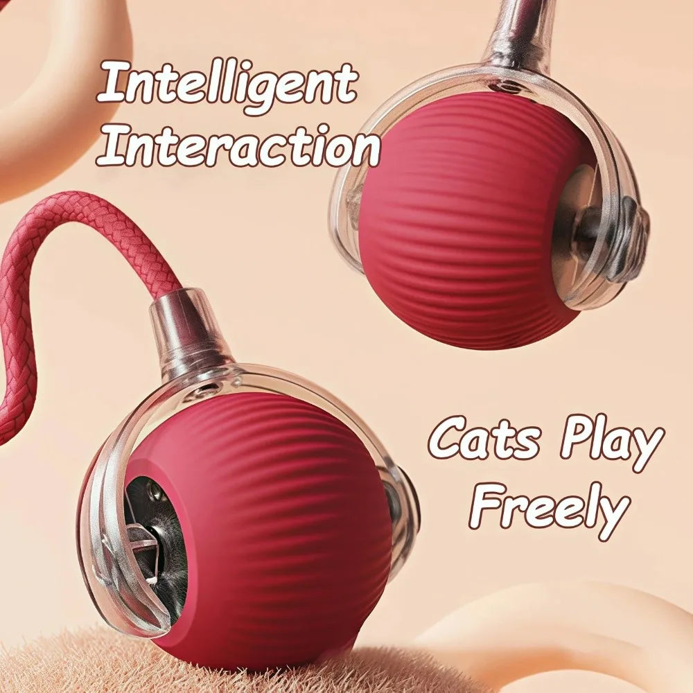 Automatic Interactive Cat Toy Ball