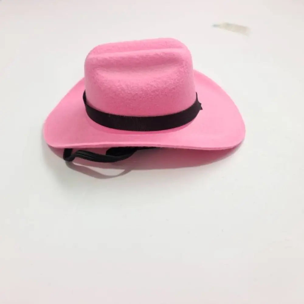 Turn Your Pet Into a Cowboy