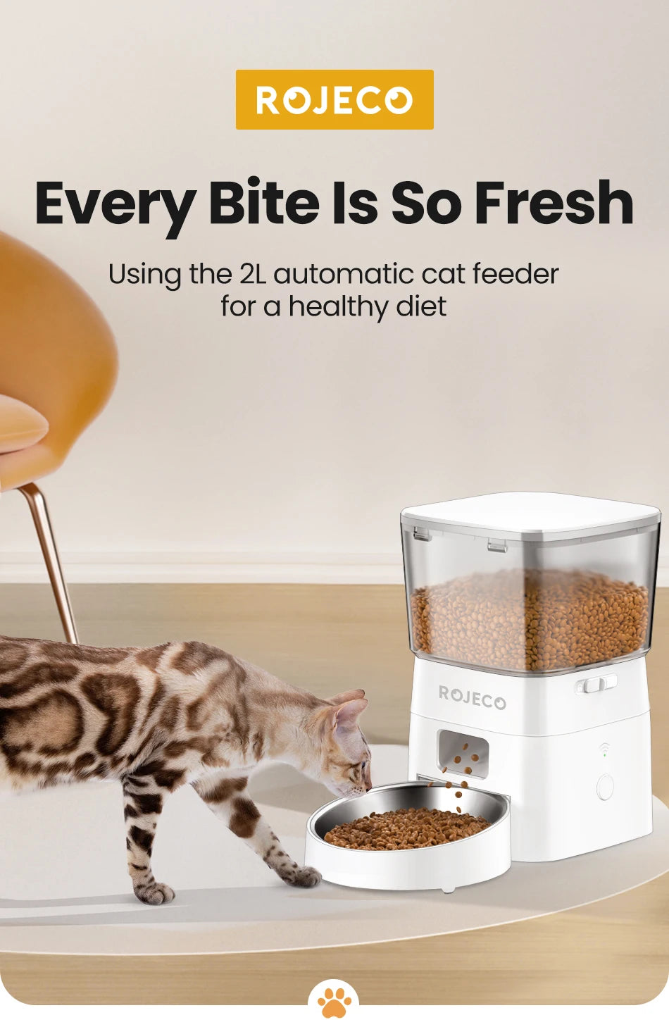 Busy Day? Your Pet’s Meals Are Covered!