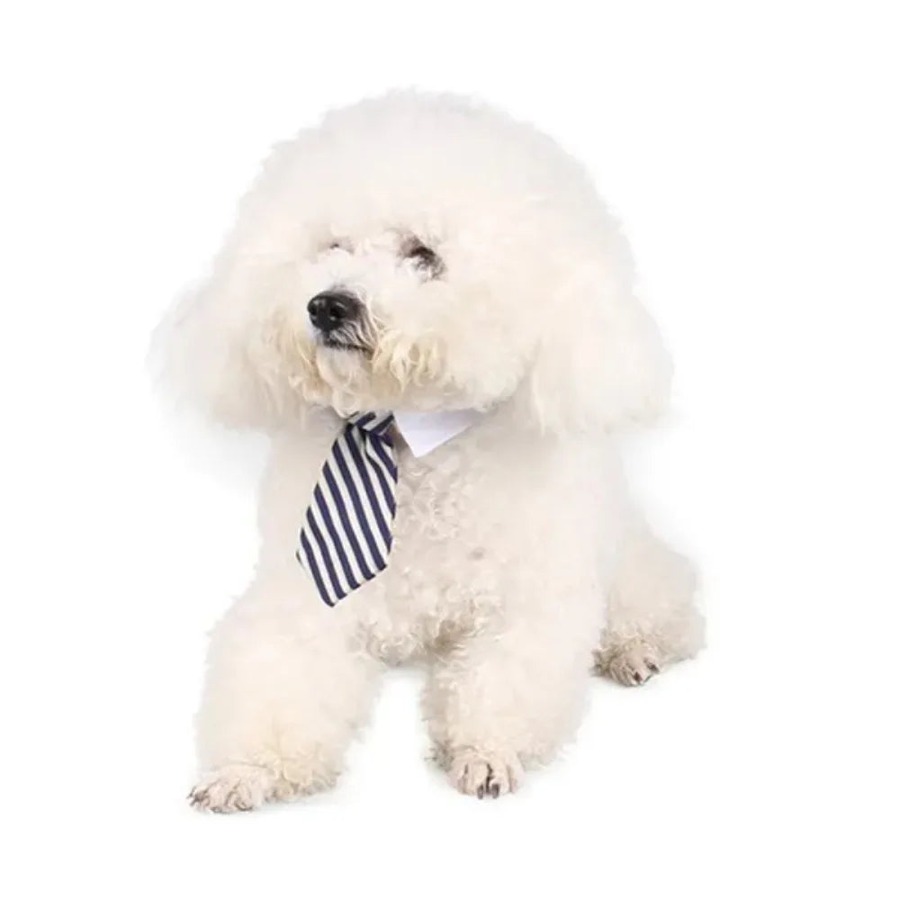 Adjustable Pet Bow Tie Necktie – Formal Costume for Dogs & Cats 🎀🐾
