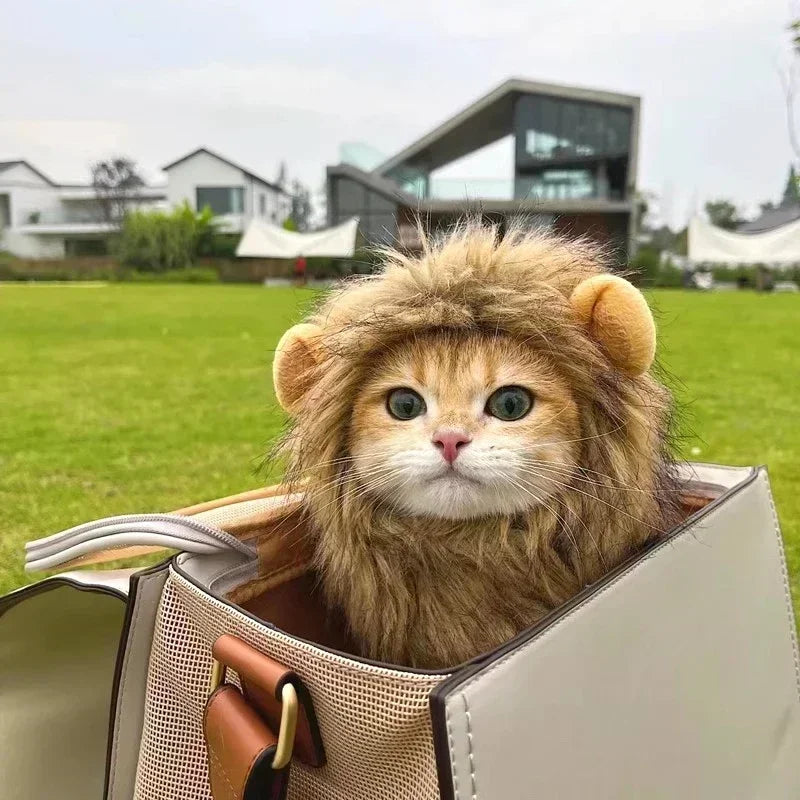 Lion Mane Pet Costume Hat – Cat & Puppy Cosplay