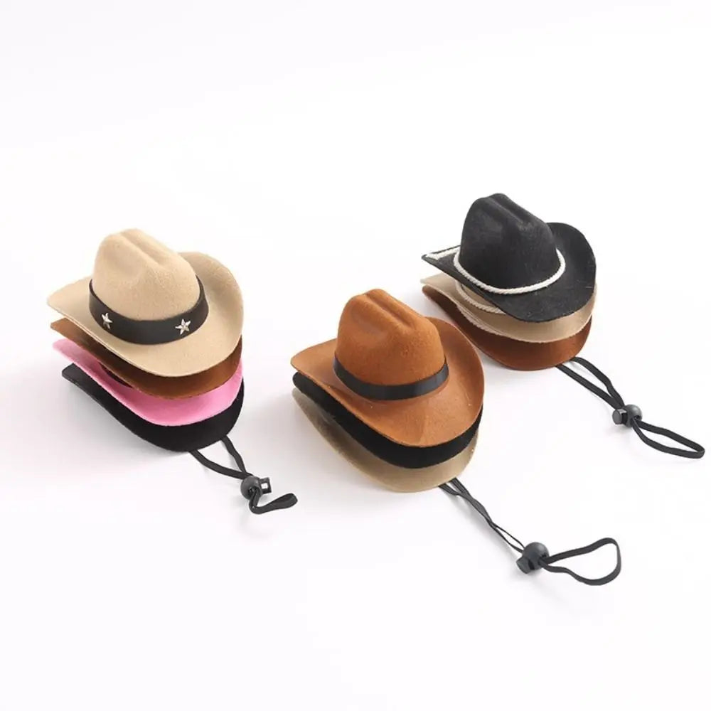Turn Your Pet Into a Cowboy