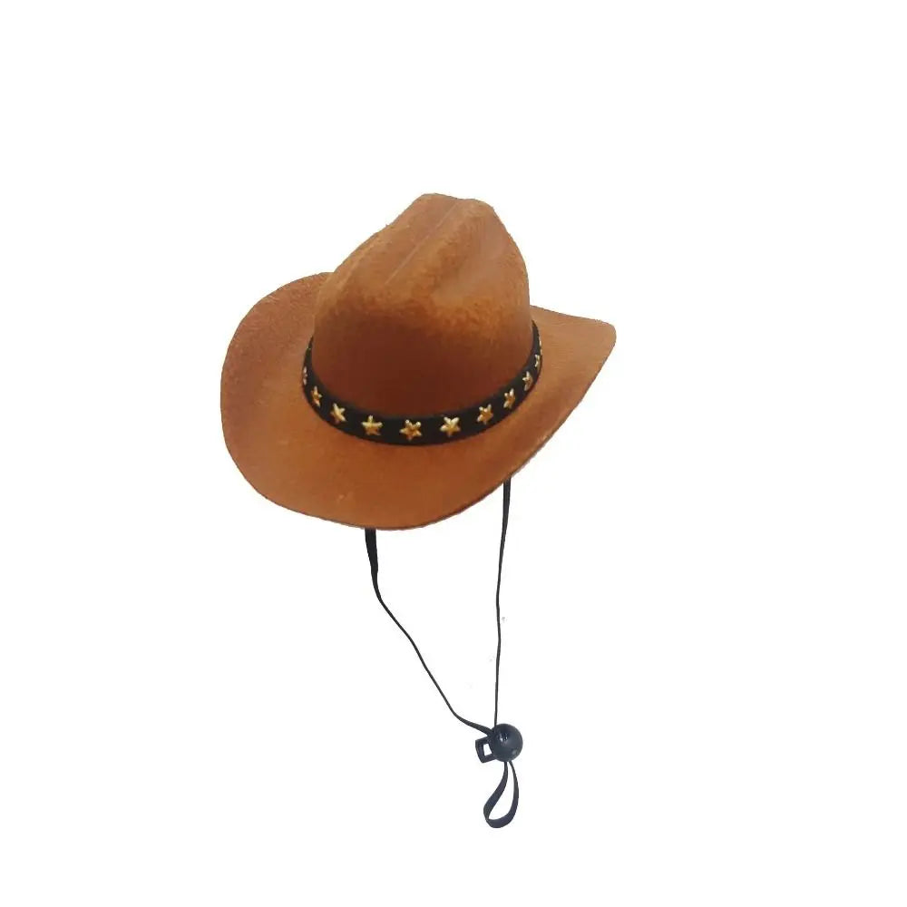 Turn Your Pet Into a Cowboy