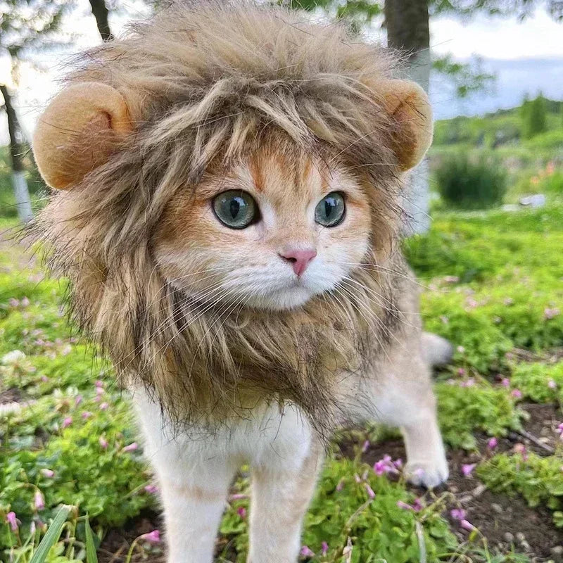 Lion Mane Pet Costume Hat – Cat & Puppy Cosplay