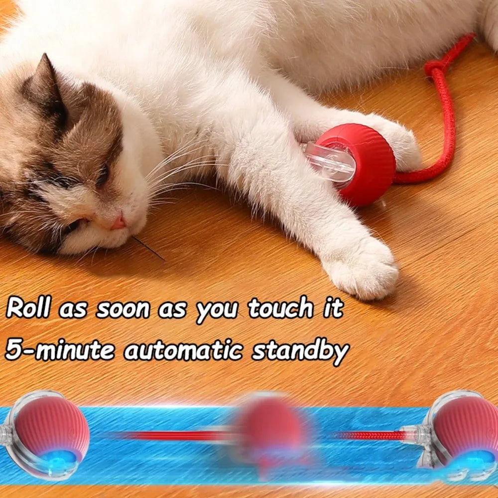 Automatic Interactive Cat Toy Ball