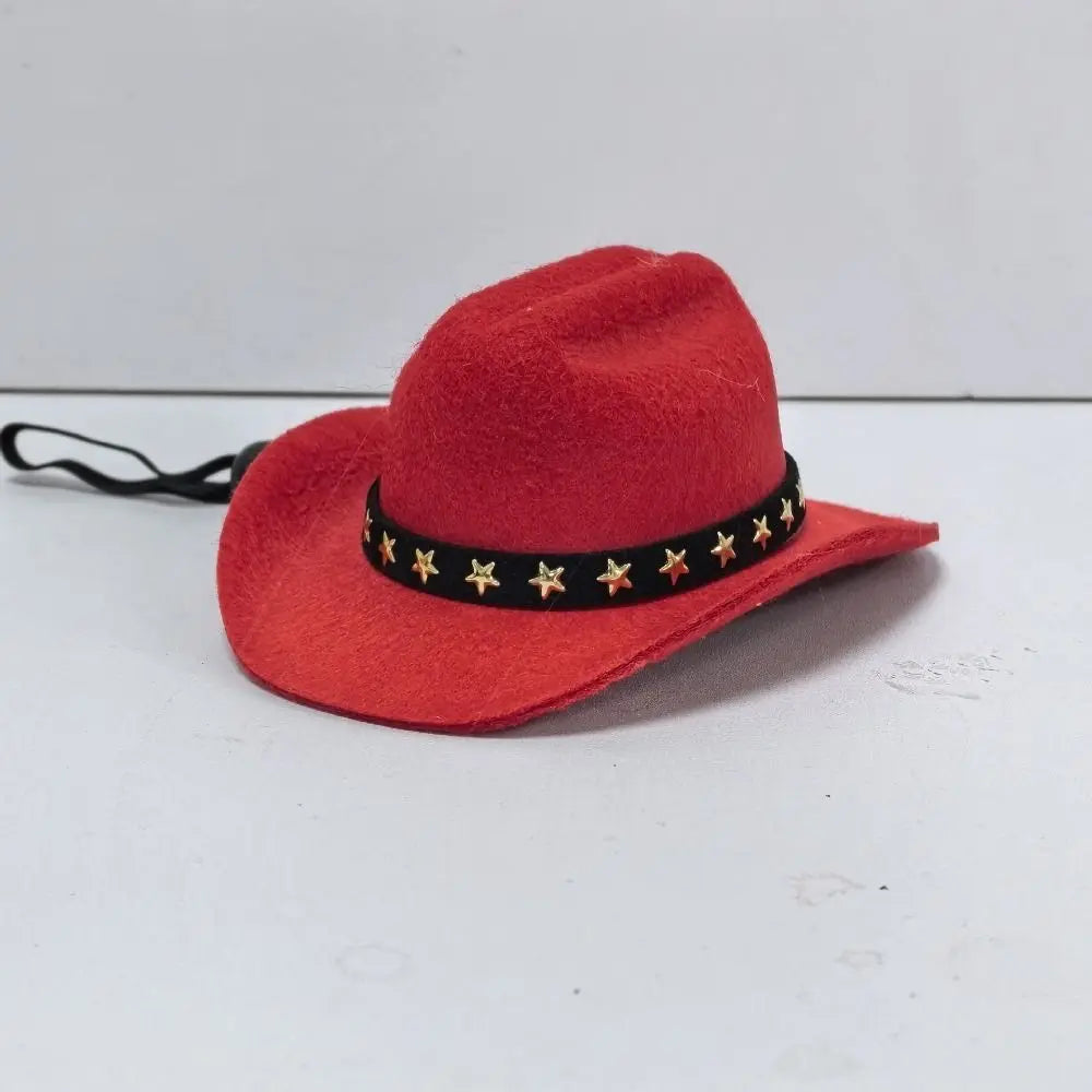 Turn Your Pet Into a Cowboy