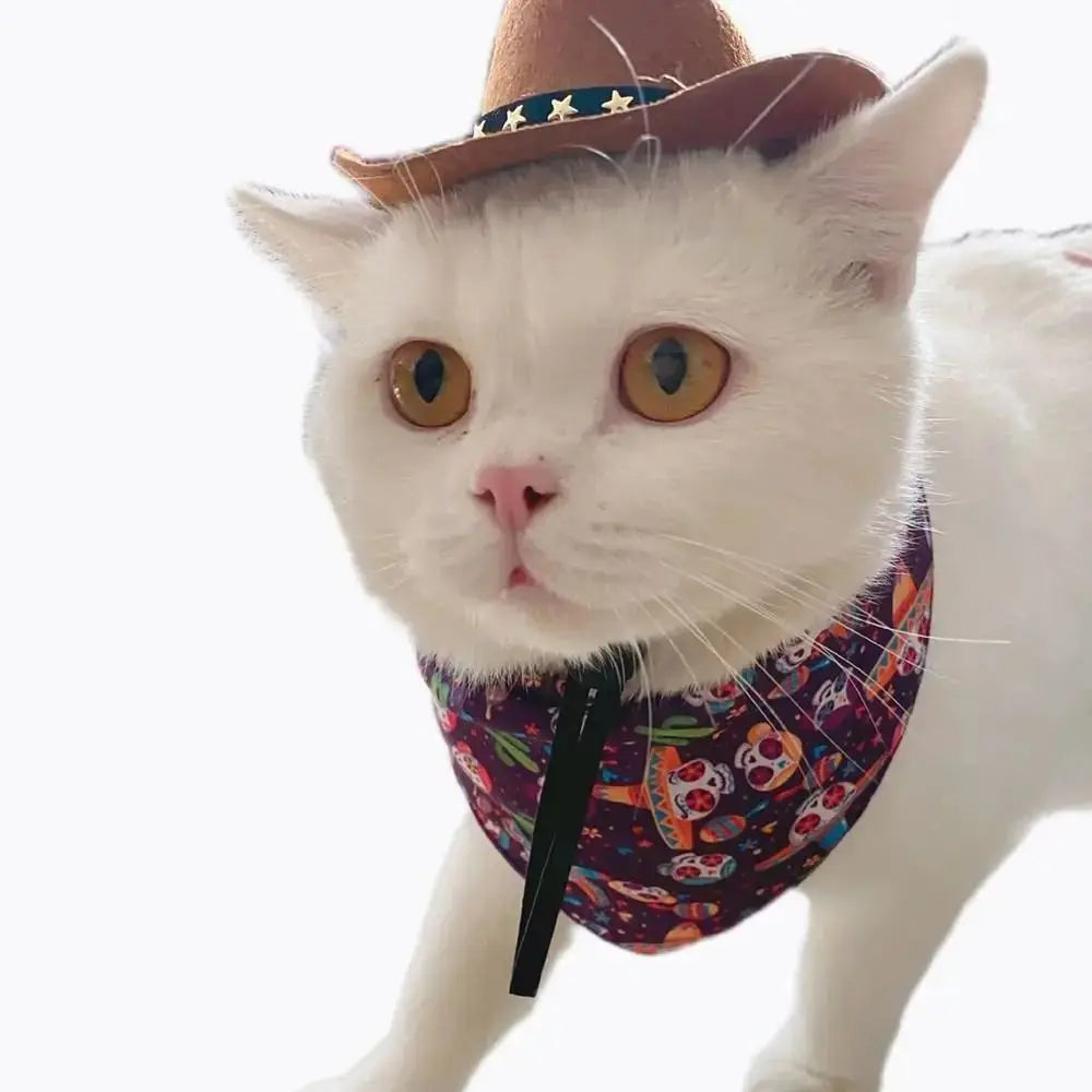 Turn Your Pet Into a Cowboy