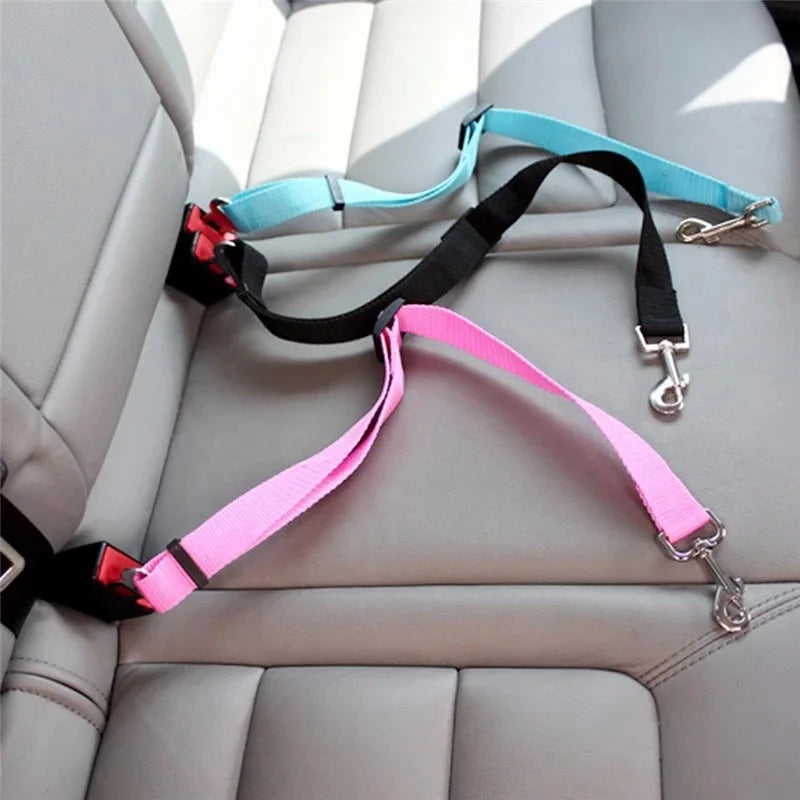 Keep Your Pet Safe in the Car 🐶🚘