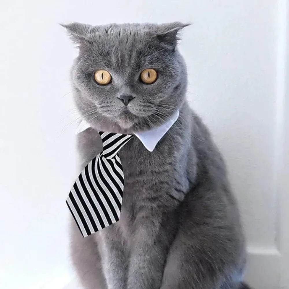 Adjustable Pet Bow Tie Necktie – Formal Costume for Dogs & Cats 🎀🐾