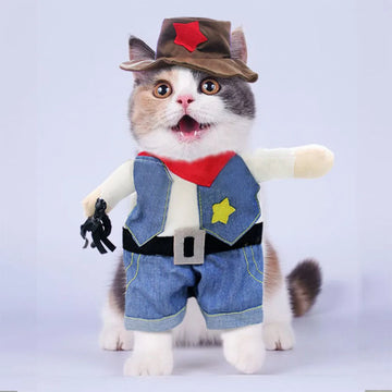Funny Cowboy Pet Costume 👍