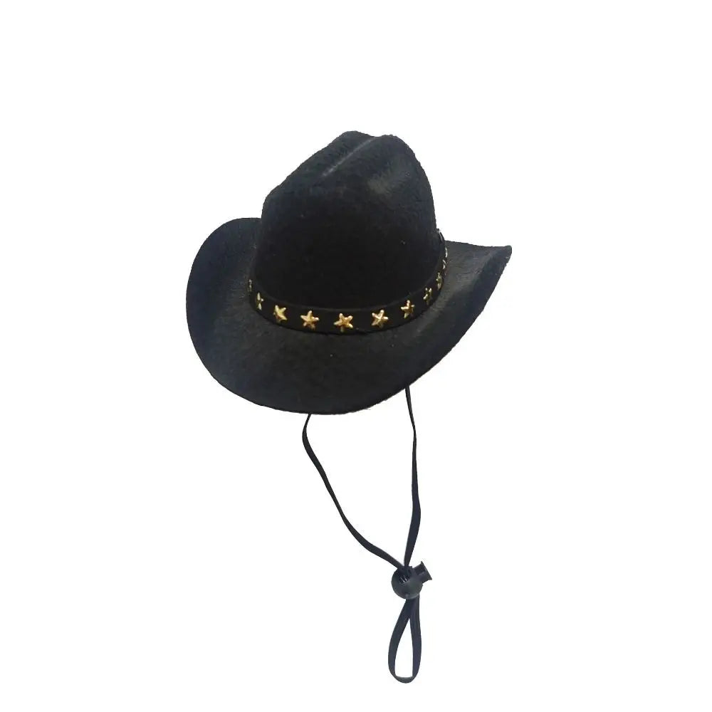 Turn Your Pet Into a Cowboy