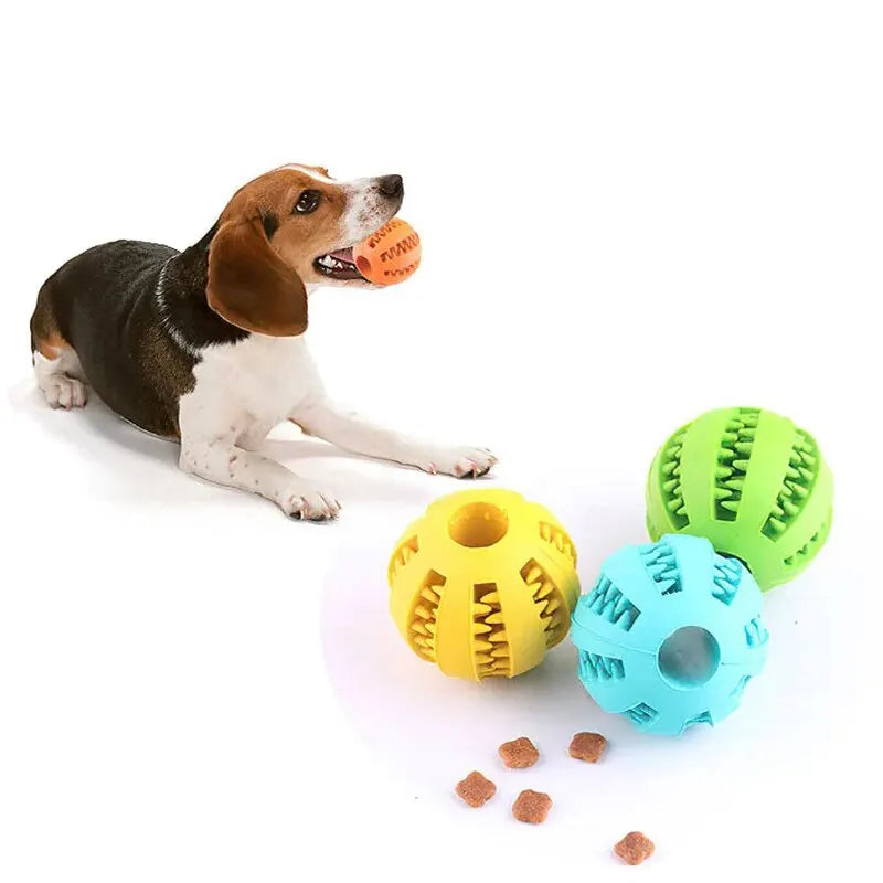 Dog Treat Chew Ball Toy 🐶🐱✨
