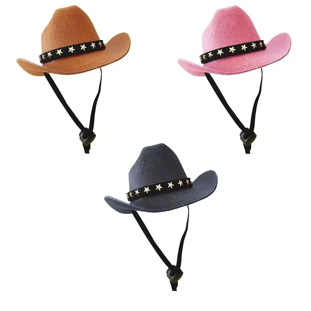 Turn Your Pet Into a Cowboy