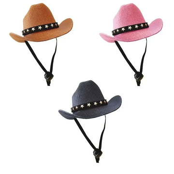 Turn Your Pet Into a Cowboy