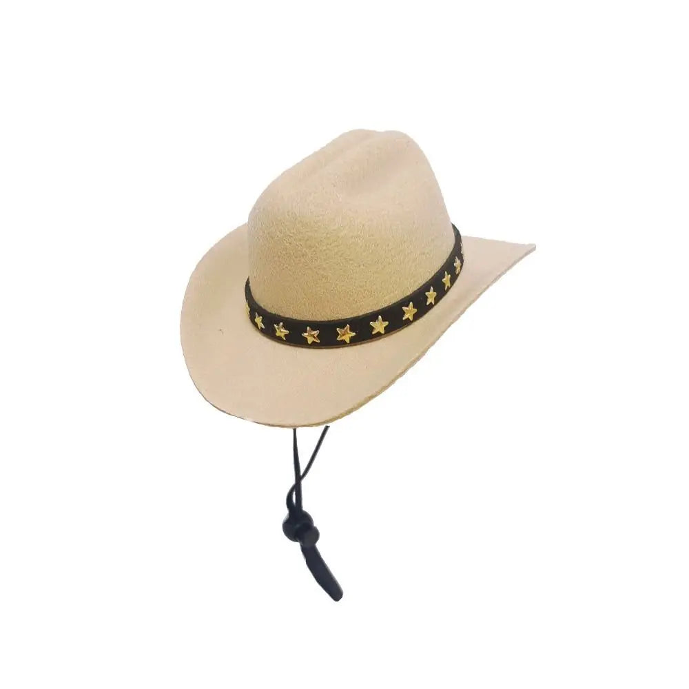 Turn Your Pet Into a Cowboy
