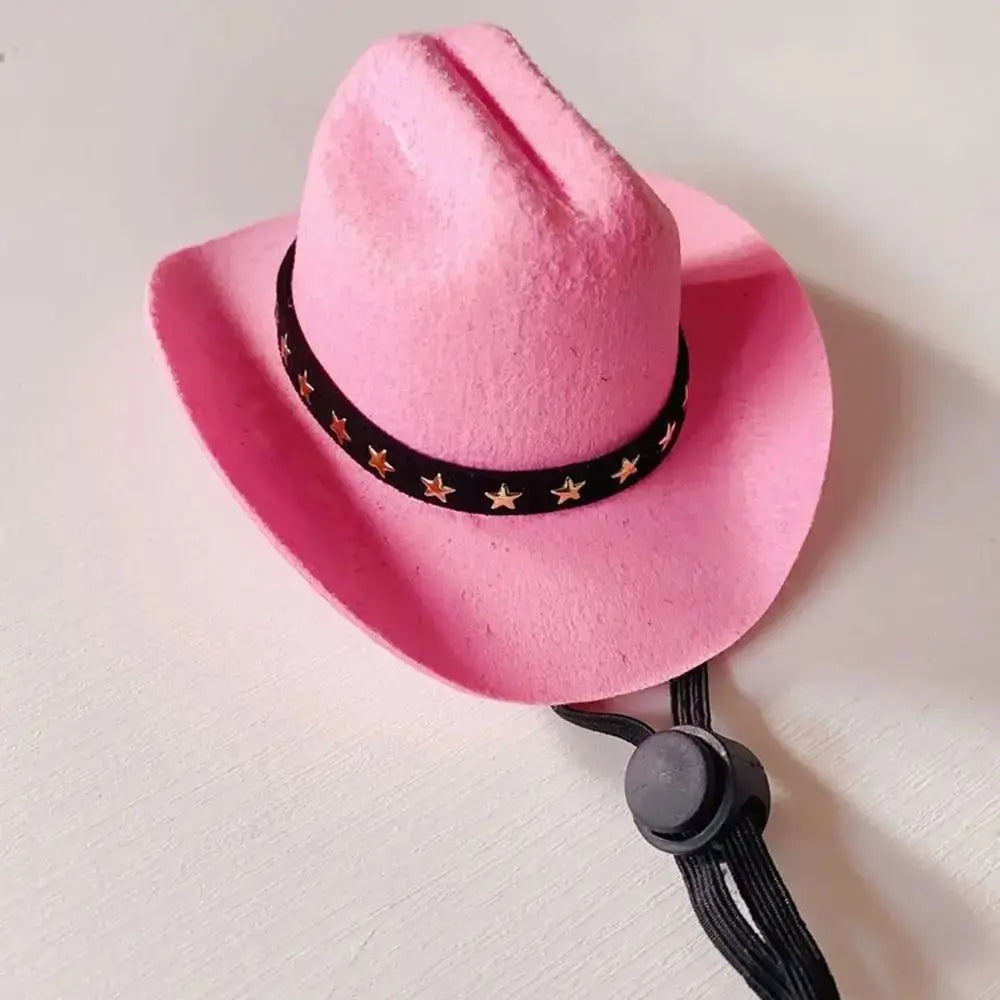 Turn Your Pet Into a Cowboy