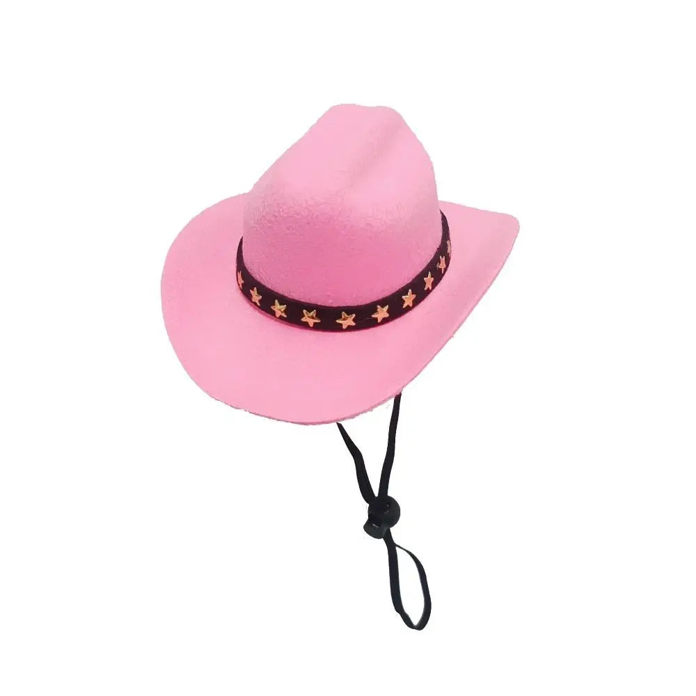Turn Your Pet Into a Cowboy