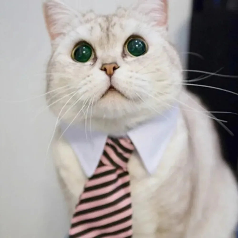 Adjustable Pet Bow Tie Necktie – Formal Costume for Dogs & Cats 🎀🐾
