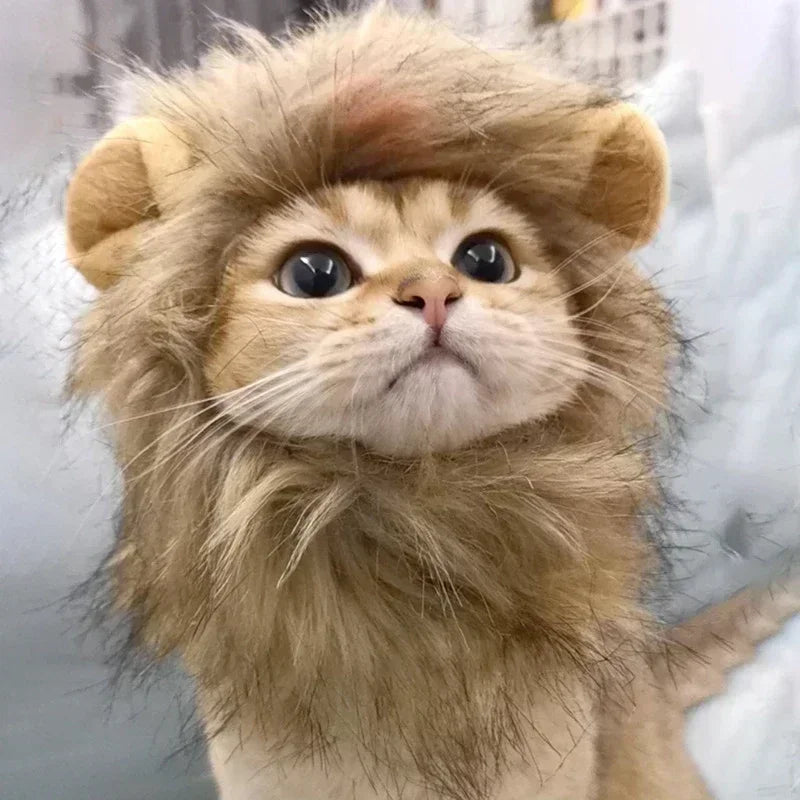 Lion Mane Pet Costume Hat – Cat & Puppy Cosplay