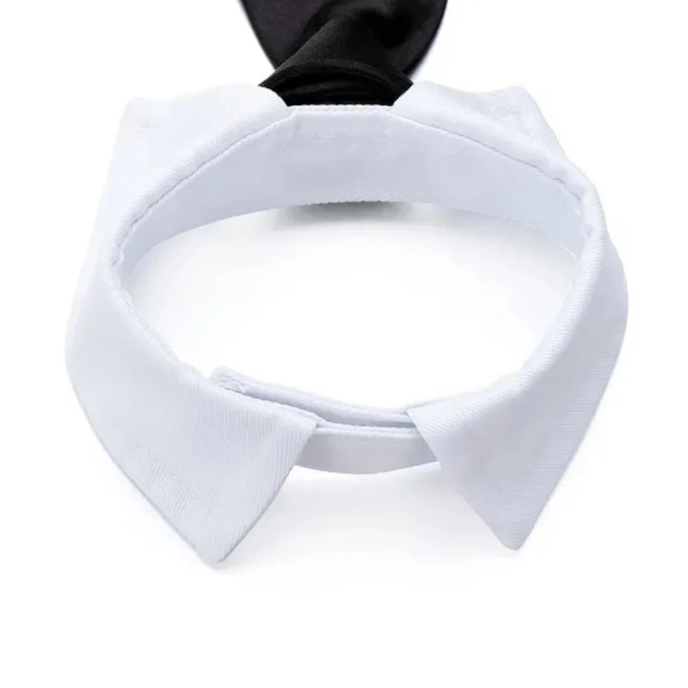 Adjustable Pet Bow Tie Necktie – Formal Costume for Dogs & Cats 🎀🐾