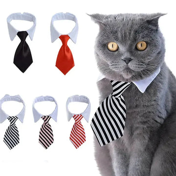 Adjustable Pet Bow Tie Necktie – Formal Costume for Dogs & Cats 🎀🐾