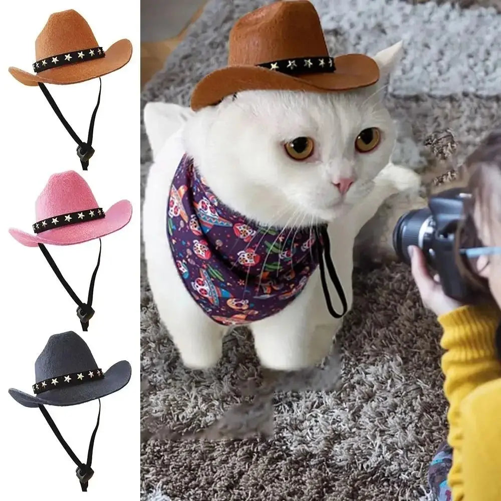Turn Your Pet Into a Cowboy