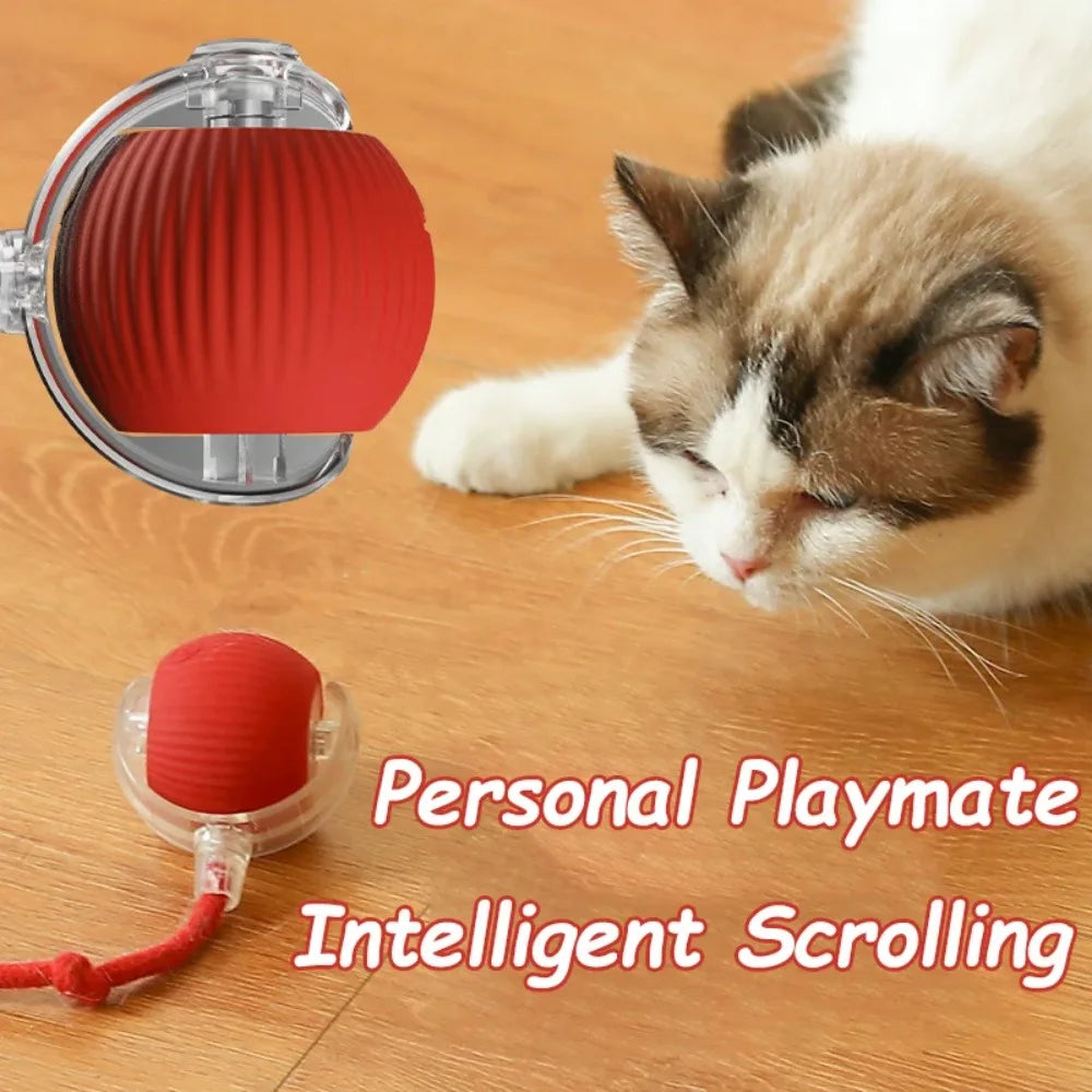 Automatic Interactive Cat Toy Ball