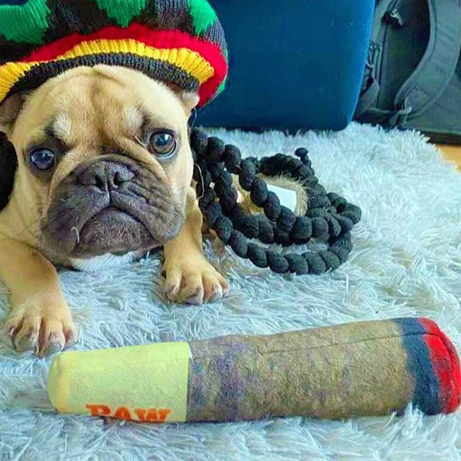 Funny Cigar Plush Squeaky Dog Toy – Chew & Play 🐶💨