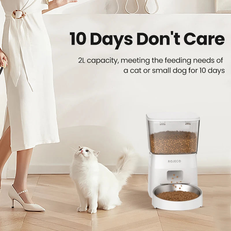 Busy Day? Your Pet’s Meals Are Covered!
