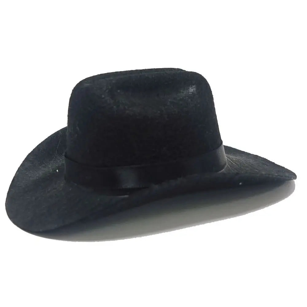 Turn Your Pet Into a Cowboy