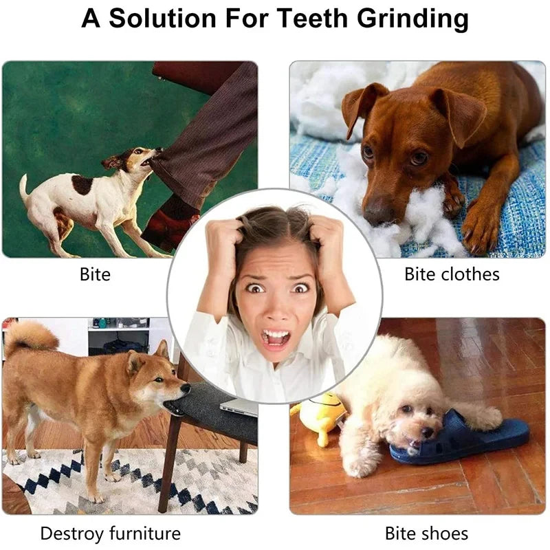 Dog Treat Chew Ball Toy 🐶🐱✨